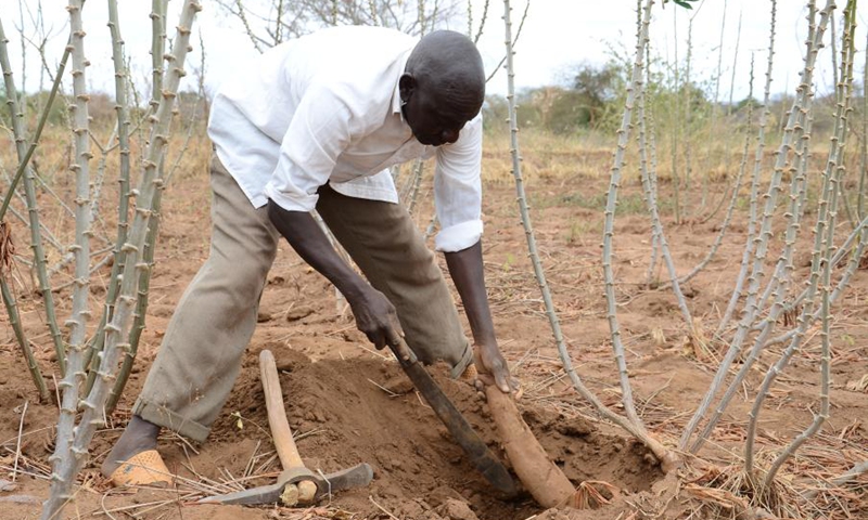 Agriculture Can Become One of the Greatest Tools for Economic Empowerment if Approached Strategically